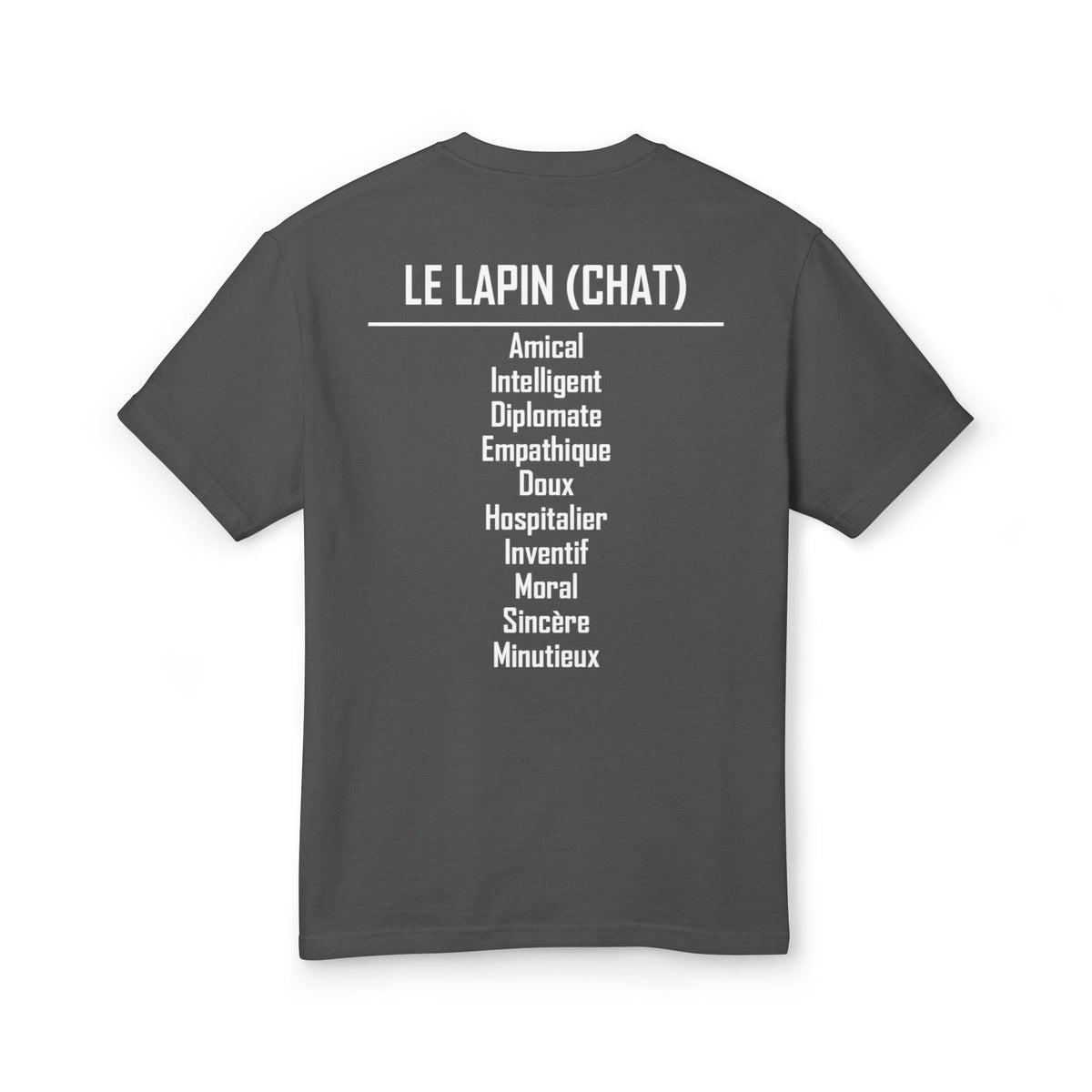 04 Lapin — T-shirt Illustré — Couleurs Foncées — Français