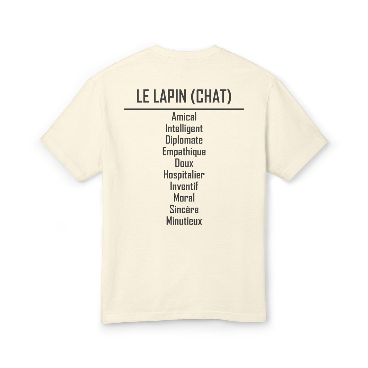 04 Lapin — T-shirt Illustré — Couleurs Claires — Français
