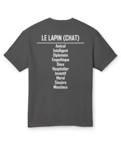 Alternative view of 04 Le Signe Zodiaque Lapin FR
