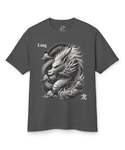 05 Le Signe Zodiaque Dragon FR