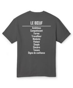 Alternative view of 02 Le signe Zodiaque Buffle/Ox FR