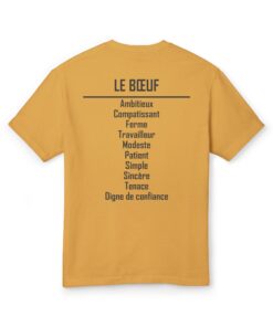 Alternative view of 02 Le signe Zodiaque Buffle/Ox FR